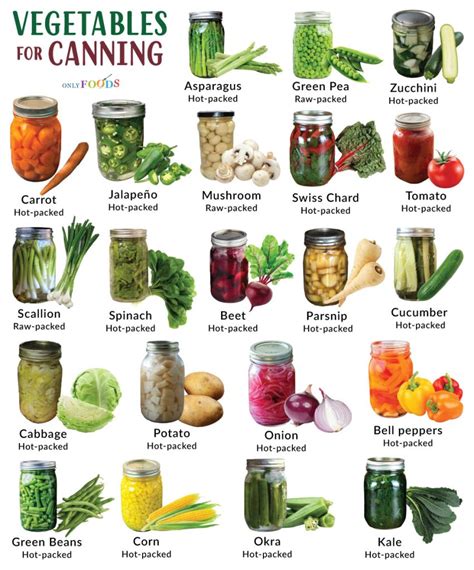 canning vegetables for beginners.